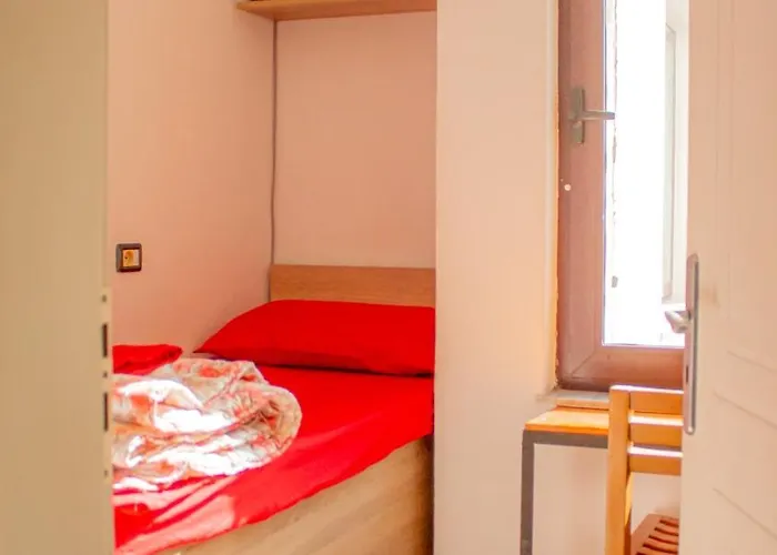 Hostel The Golden Rooster