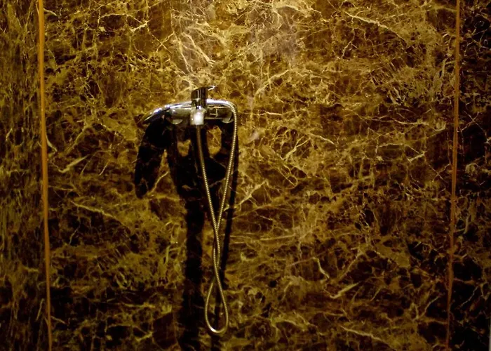 The Golden Rooster Hostel